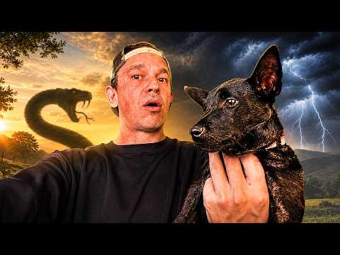 J'AI ADOPTÉ UN NOUVEAU CHIOT (ET ÇA A TRÈS MAL COMMENCÉ) - TOOPET