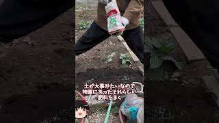 庭に畑を作ってみた【その48】#shorts