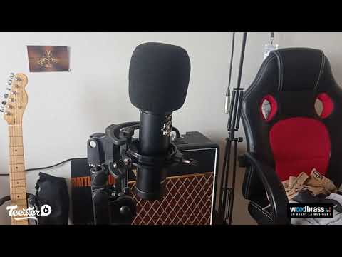 EAGLETONE CM100 - Test & Avis d'un client Woodbrass