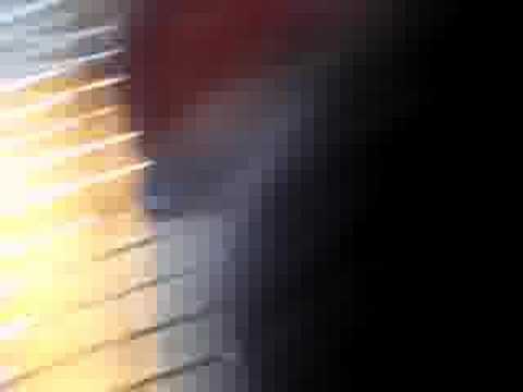 Episode 1 : Julien Créance - Heatwave