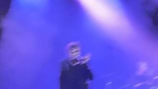 Hubert Félix Thiéfaine  errer humanum est