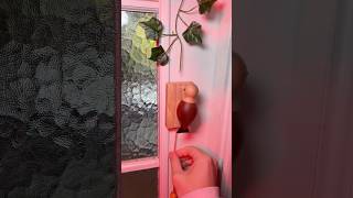 Download lagu From Scary Doorbell Sound to Relief 😮‍💨 mp3