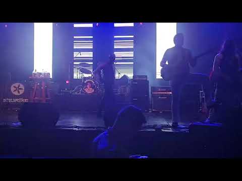 Brkovi-Samo pijan mogu (Vodovafest - Ruski Krstur 2022)