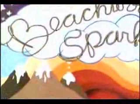 Beachwood Sparks interview