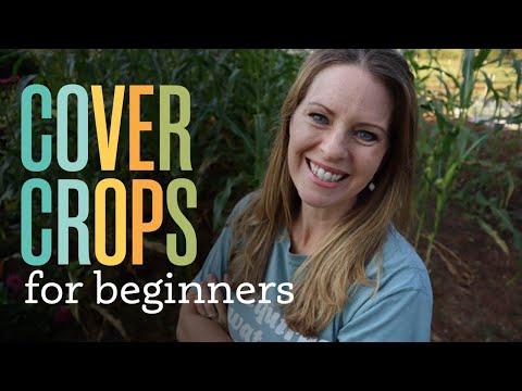 YouTube video about: Which solution would most likely cause a plant?