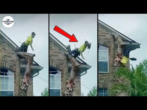 Idiots With Chainsaws: Tree Cutting Fails | Extreme Dangerous Logging Truck Fails #3