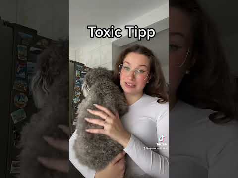Toxic Tipp nr.15 #shorts #toxictipp