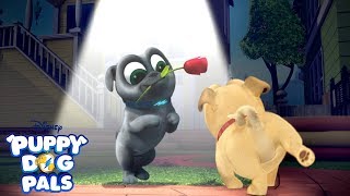 Don't Blink! | Playtime with Puppy Dog Pals | Disney Junior gameplay video by tgates9317, 2:56 duration