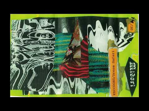 Rxccoons/Dream Safari - Untitled (Cassette Rip)