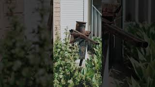 33 Malvern Rise, Greenfields