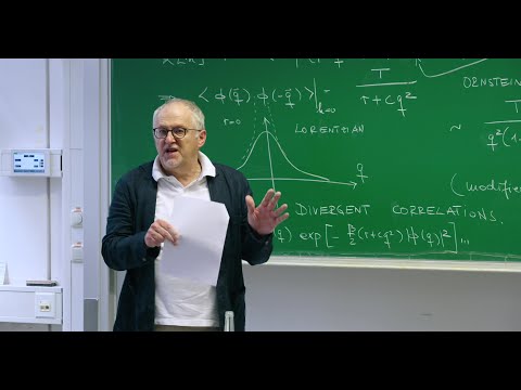 25. Gradient Dynamics, Model A, Classical Ising model, Ginzburg–Landau Equation, Allen–Cahn Equation