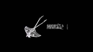 Rainforest Spiritual Enslavement | Watery Grave [Hospital Productions 2016]