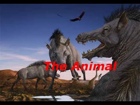 Entelodont and Daeodon tribute: The Animal (Entry to EBLazerRex65's Contest)