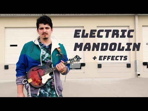 BO TV ⚡️ Electric Mandolin + FX Pedals
