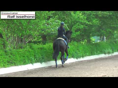 www.dressurtrainer-isselhorst.de - Dressurtraining Klasse M / S