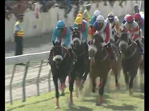 2016.09.04 Maiden Cup (MRI) - Parachute Man