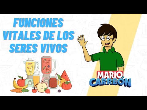Funciones vitales de los seres vivos