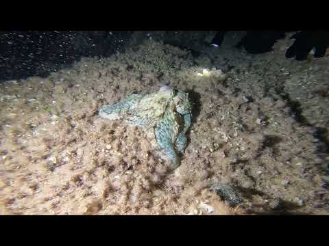 2023 10 10 - Caussiniere