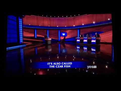 Final Jeopardy, Kevin Boettcher Day 2 - VERY SHORT CLUE ?? (10/2/19)