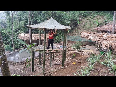 Full Video: 200 Days Daily Life off grid in the farm Forest, Building bamboo hut - Green forest life