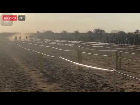 2° Páreo Classificatório do GP HARAS NOVO LAR  ( Capim Grosso-BA )