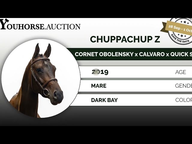 Chuppachup showvideo