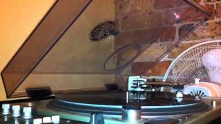 Burial - Ashtray wasp (excerpt)