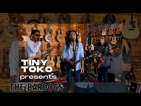 The Bardogs Live Session - TINY TOKO 11