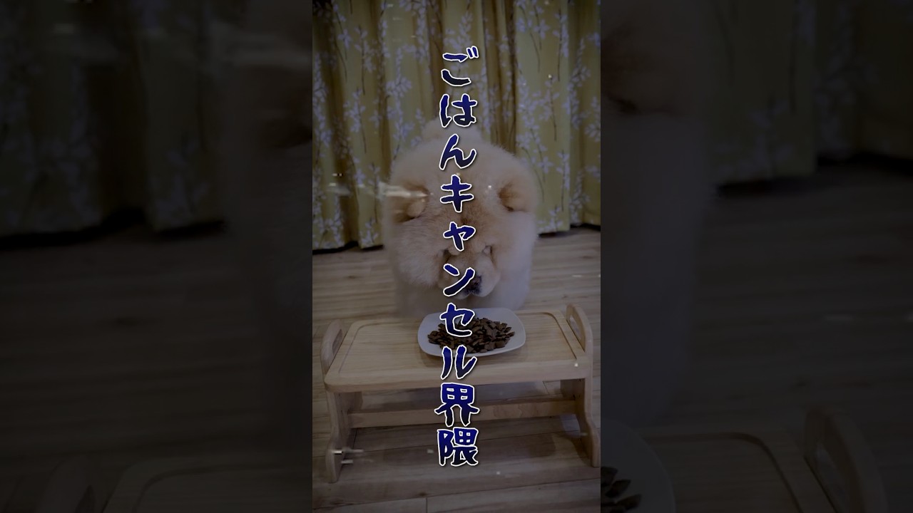 ごはんキャンセル界隈の救世主