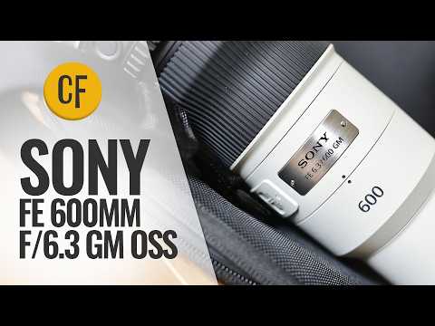 Video thumbnail for Video Review 3