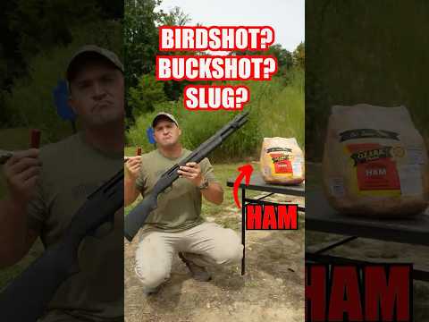 What Shotgun Load Is Best For Home Defense? #shorts #experiment #selfdefense