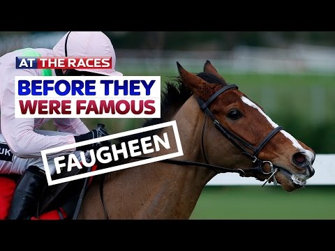Faugheen - Before They Were Famous