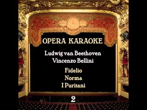 Ludwig van Beethoven - Fidelio, op. 72 : Die Rettung