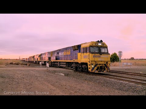 5PM5 Container Freight Train Led By Three NR Class Diesel Locomotives (19/11/2023) - PoathTV