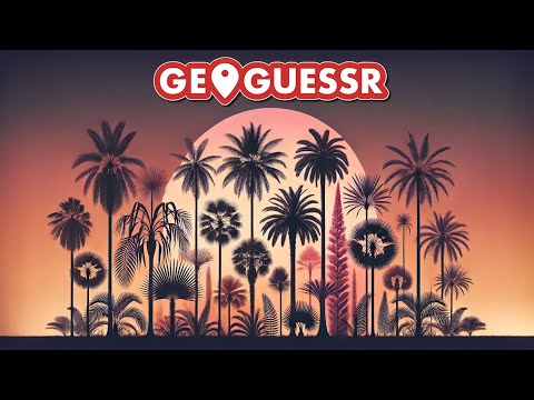 Mastering Palm Trees in GeoGuessr with Zen! 🌴