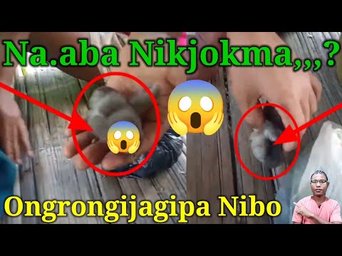 Ia Videoko Niode Aiao Inmangen,,,!!! Maiko Miksonge, Indake Mesokjok , Videoko Name Nibo,,,,,😱