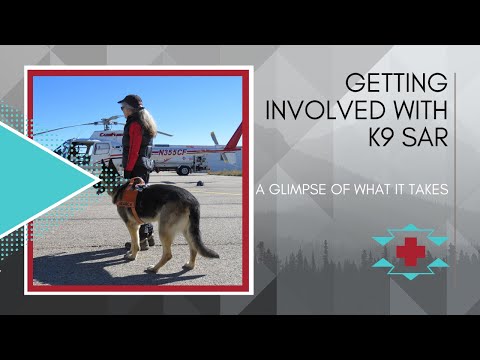 YouTube video about: How to become a sar dog handler?
