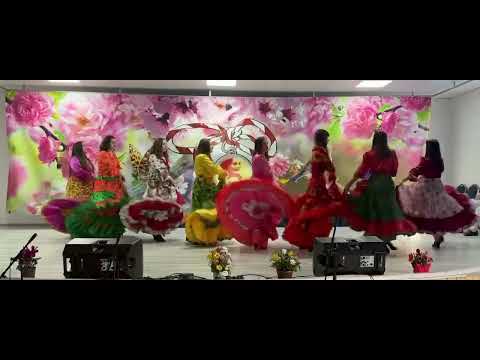 Dans țigănesc - Cununița Satului Liești