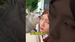 【布丁仔和泡芙妹的一天】求我家猫的心里阴影面积? 【布丁仔和泡芙妹的一天】求我家猫的心里阴影面积?