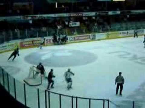 Pelicans-Ilves