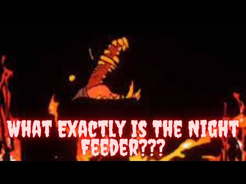 What Exactly Is the Night Feeder???
