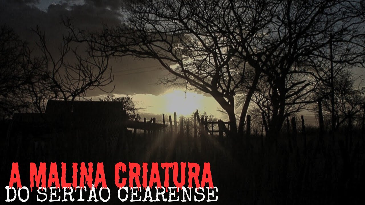 A CRIATURA MAIS MALINA QUE JÁ ANDOU POR ESSAS TERRAS DO CEARÁ. + UM RELATO.