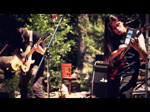 Hemotoxin video