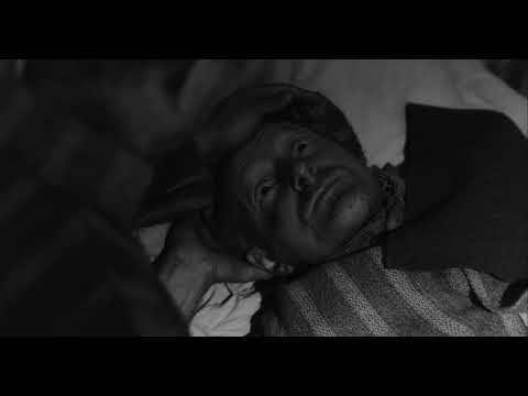 Poemul lui Enache Viziran