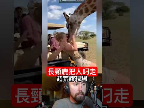 長頸鹿抓人？女子被叼走瞬間全場傻眼🦒