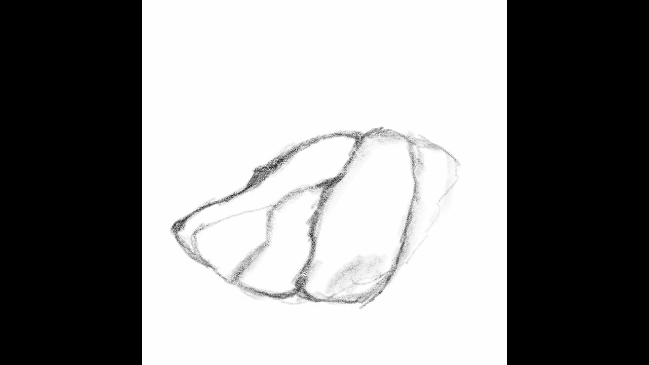 I saw a dog face on a kitchen sink #adobefresco