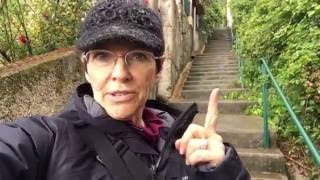 Postcards From France: My First Day in Grasse