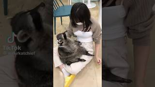 【本気出せ】SNSでバズった動画が面白すぎたwww【アフレコ】