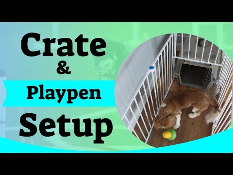 Puppy Crate Setup - Using A Puppy Playpen