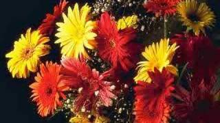 Come Back as a Flower